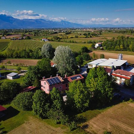 Casa Carrer B&B San Giovanni di Livenza Dış mekan fotoğraf