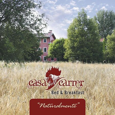 Casa Carrer B&B San Giovanni di Livenza Dış mekan fotoğraf